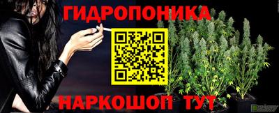 ГАЛЛЮЦИНОГЕННЫЕ ГРИБЫ Бузулук